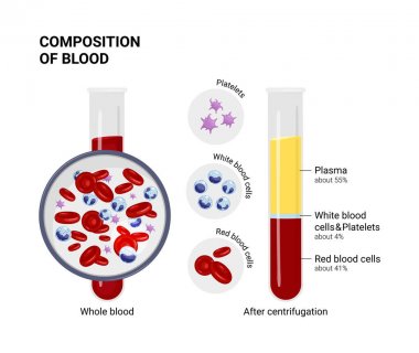 blood composition