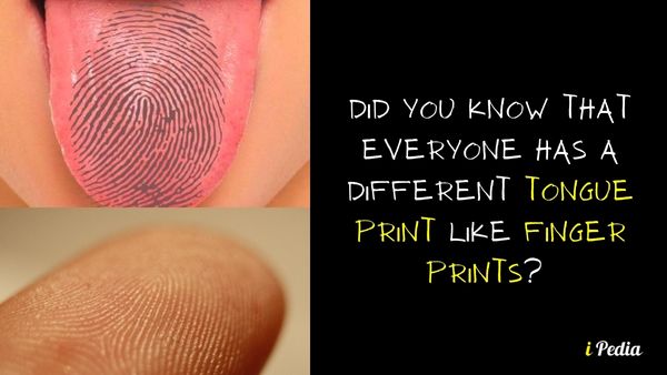 Did You Know That Everyone Has A Different Tongue Print Like Finger Prints?